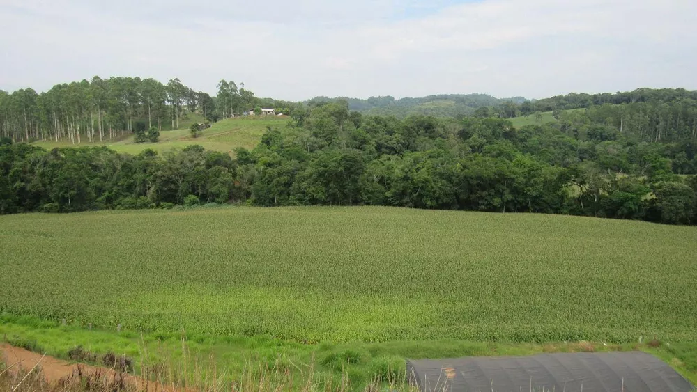 Loteamento e Condomínio, 18 hectares - Foto 2