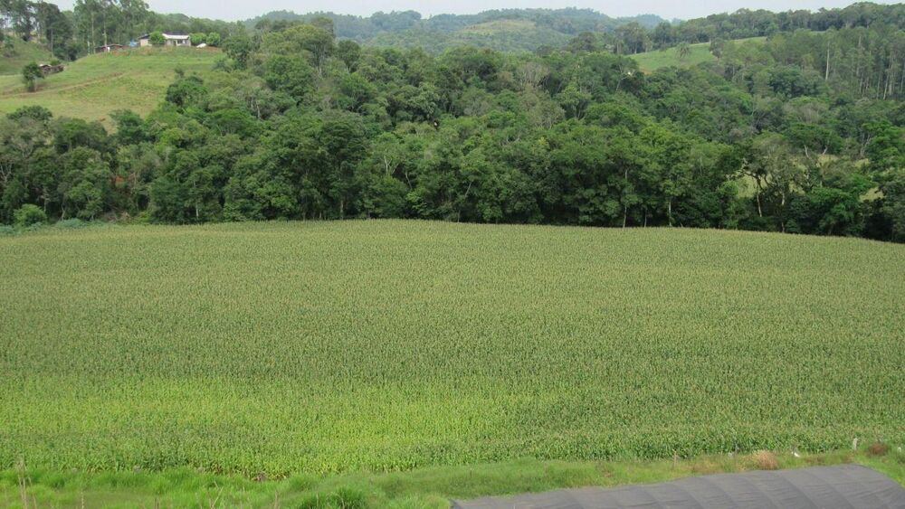 Loteamento e Condomínio, 18 hectares - Foto 19