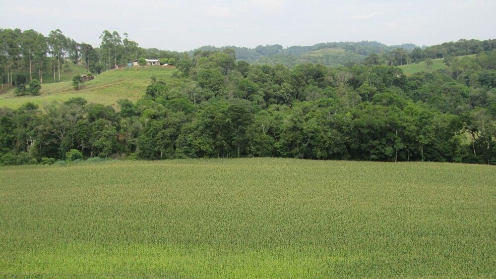 Loteamento e Condomínio, 18 hectares - Foto 22
