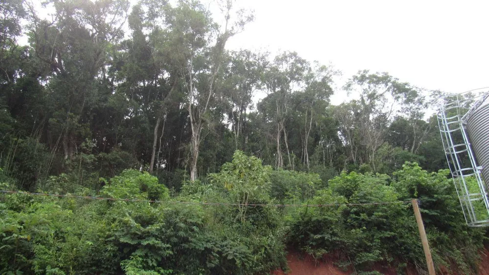 Loteamento e Condomínio, 18 hectares - Foto 6