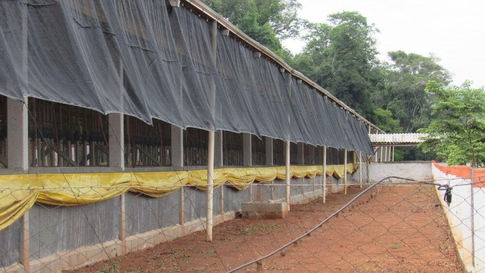 Loteamento e Condomínio, 18 hectares - Foto 14