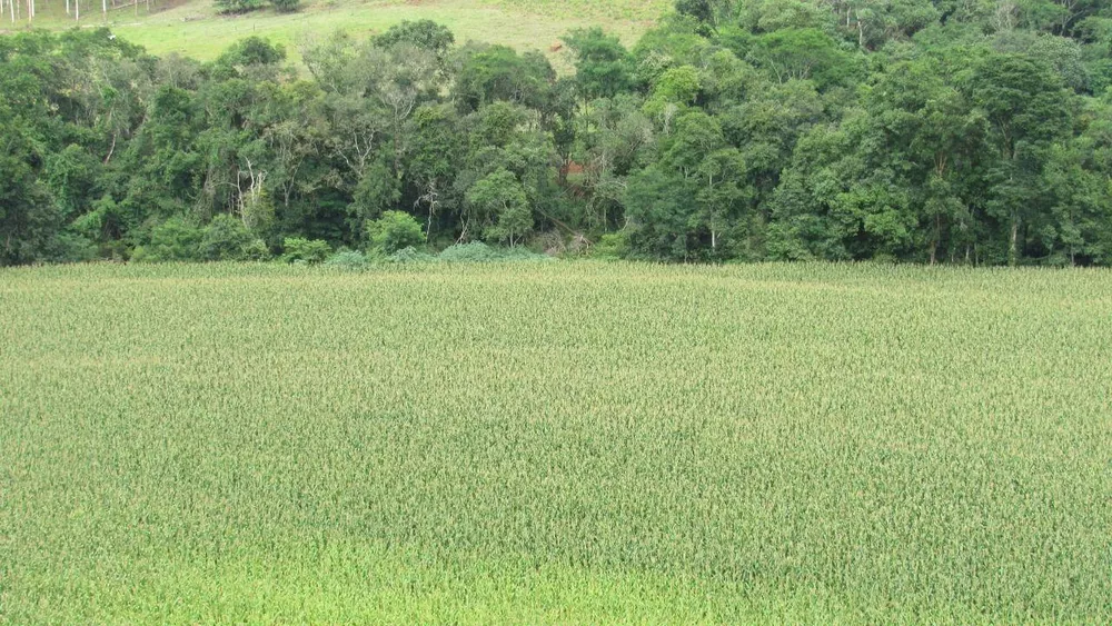 Loteamento e Condomínio, 18 hectares - Foto 1