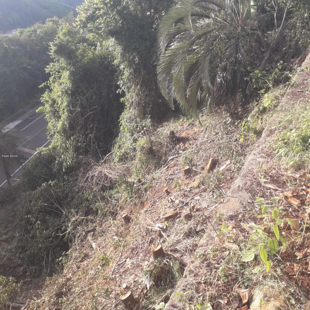 Terreno à venda, 365m² - Foto 3
