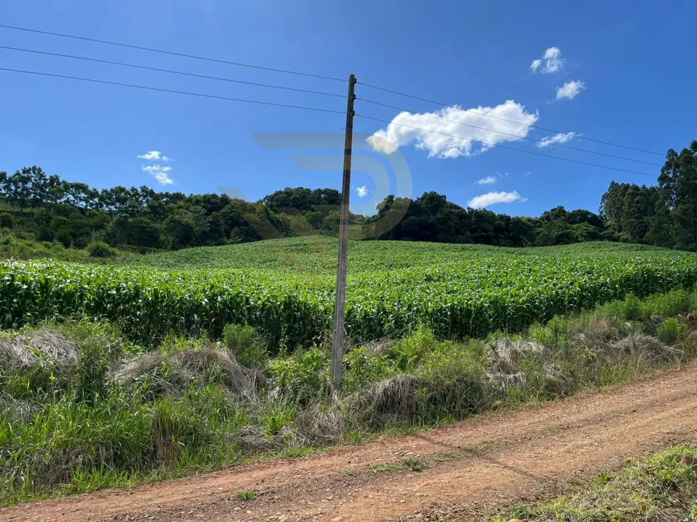 Loteamento e Condomínio, 4 hectares - Foto 2