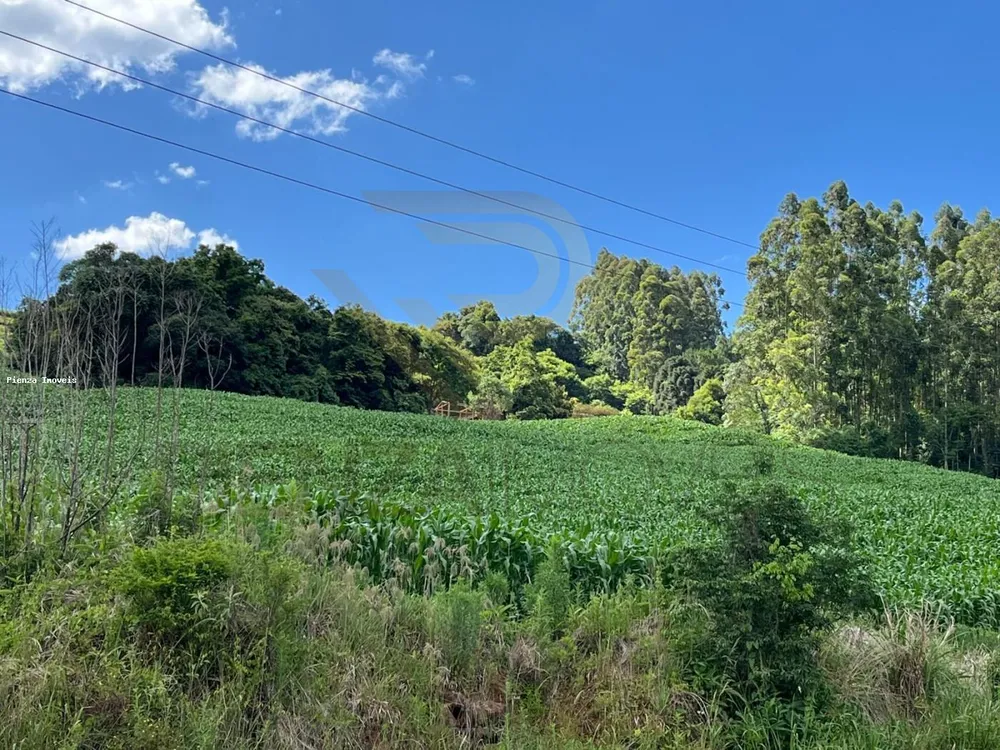 Loteamento e Condomínio, 4 hectares - Foto 3