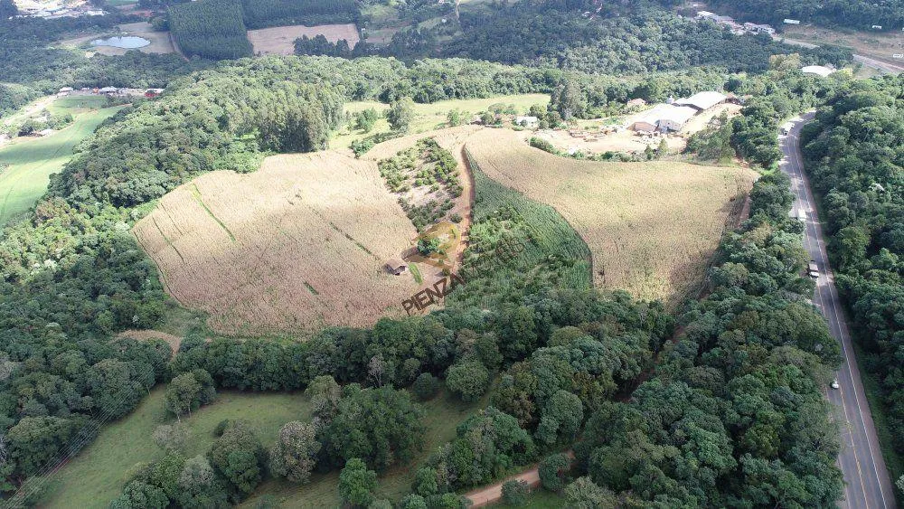 Terreno, 9 hectares - Foto 3