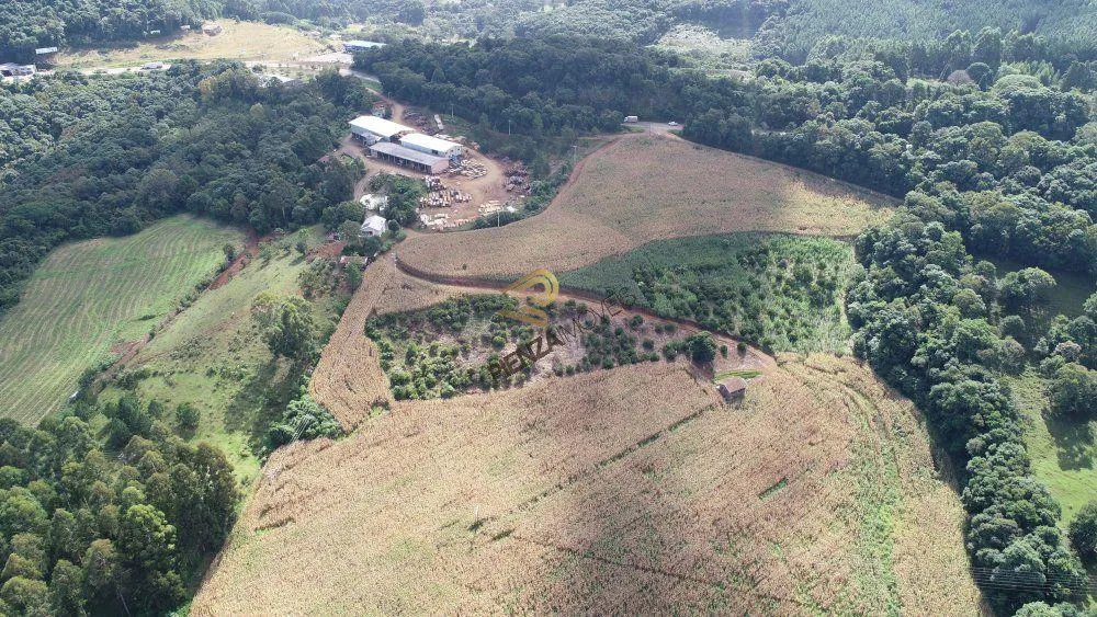 Terreno, 9 hectares - Foto 4