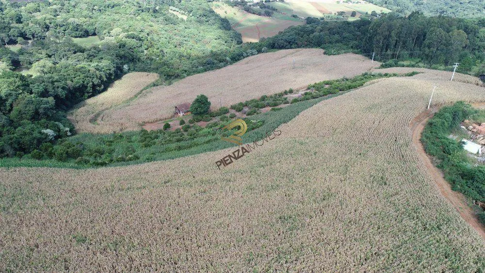 Terreno, 9 hectares - Foto 1