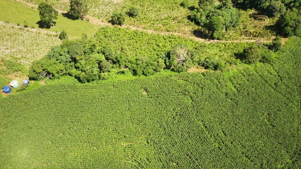 Terreno à venda, 167000M2 - Foto 2