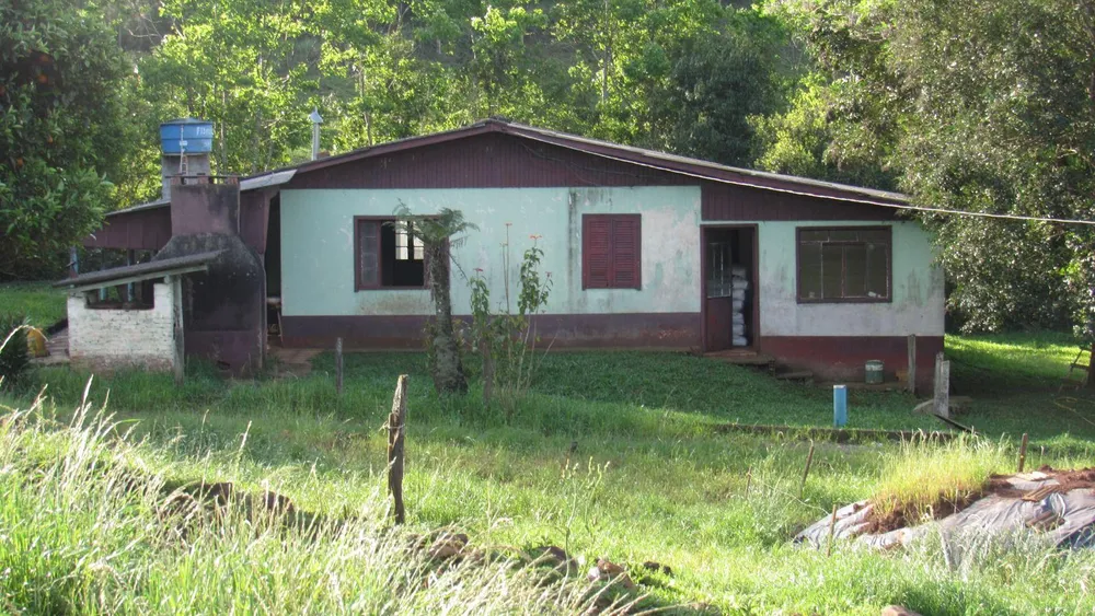 Fazenda, 51 hectares - Foto 4