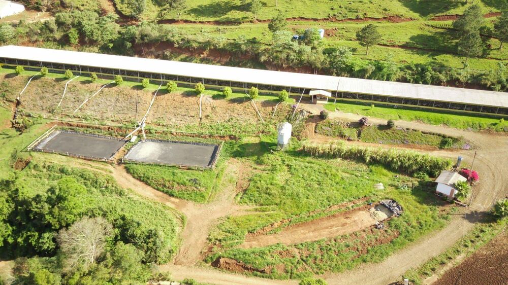 Fazenda, 51 hectares - Foto 2