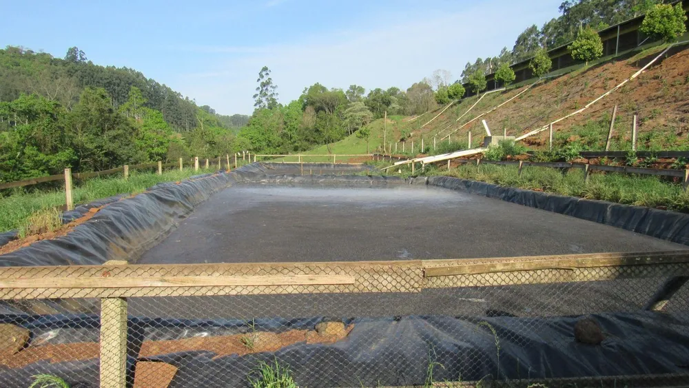 Fazenda, 51 hectares - Foto 9