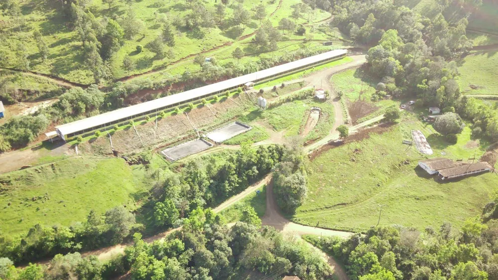 Fazenda, 51 hectares - Foto 2