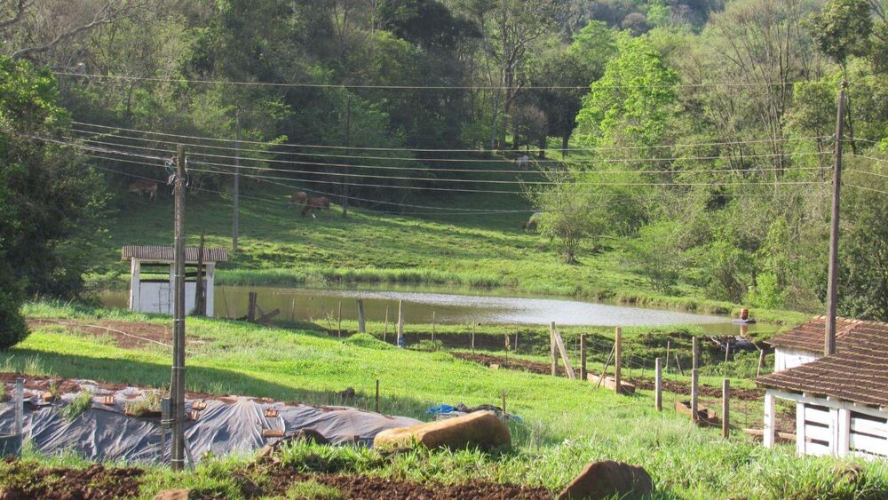 Fazenda, 51 hectares - Foto 4