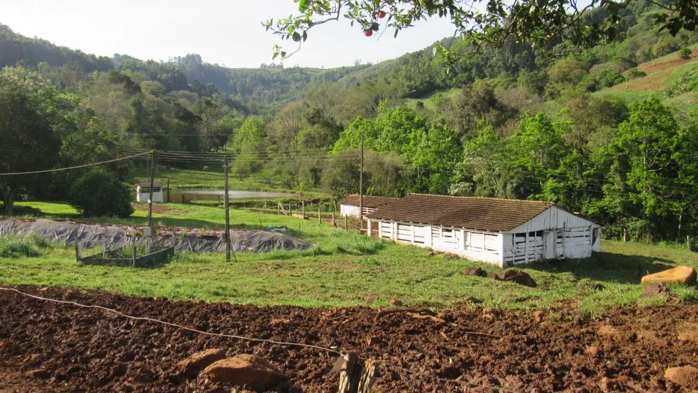 Fazenda, 51 hectares - Foto 10