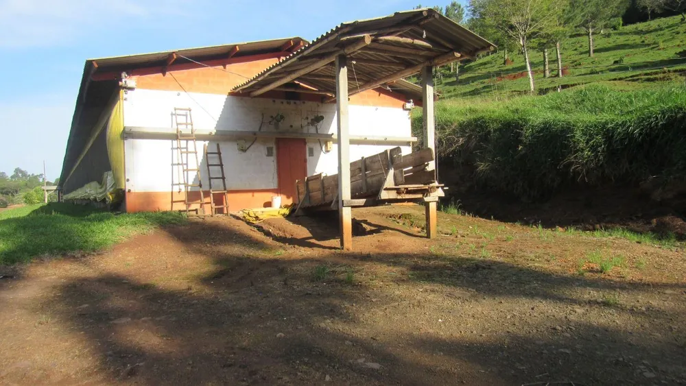 Fazenda, 51 hectares - Foto 6