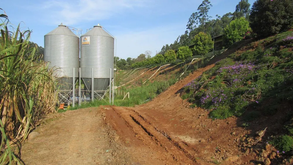 Fazenda, 51 hectares - Foto 7
