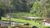 Fazenda, 51 hectares - Foto 4