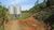 Fazenda, 51 hectares - Foto 3