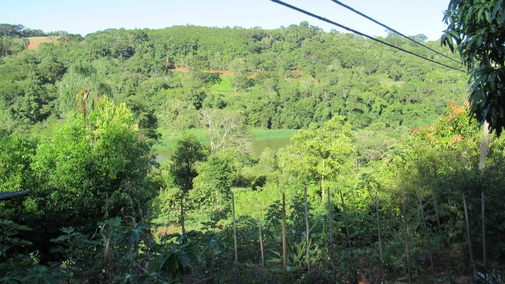 Sítio, 3 quartos, 7500 m² - Foto 1