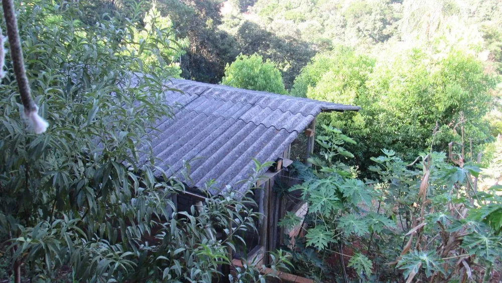 Sítio, 3 quartos, 7500 m² - Foto 11