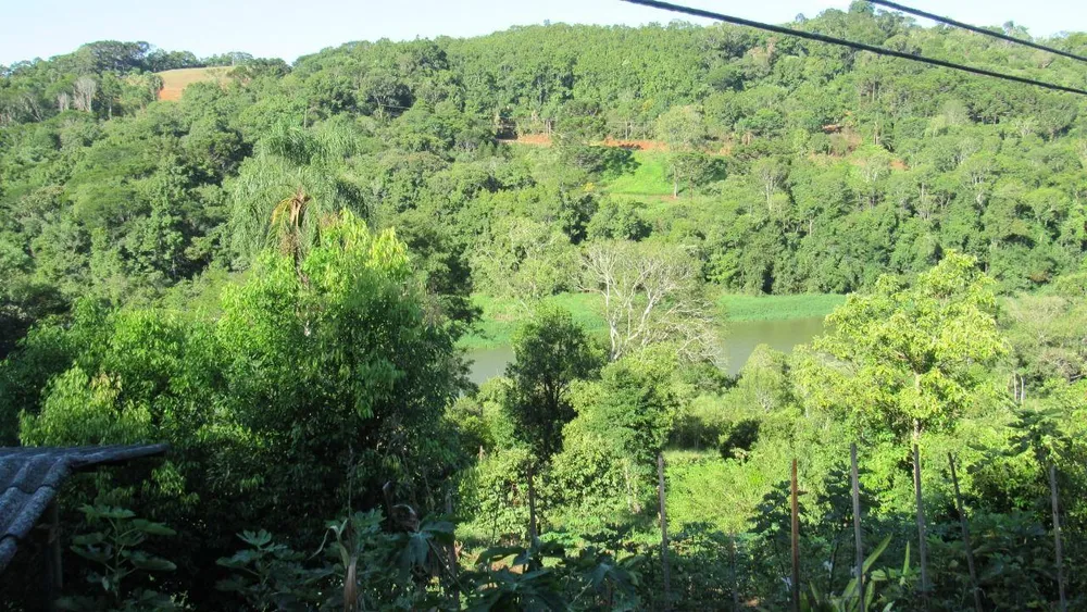 Sítio, 3 quartos, 7500 m² - Foto 9