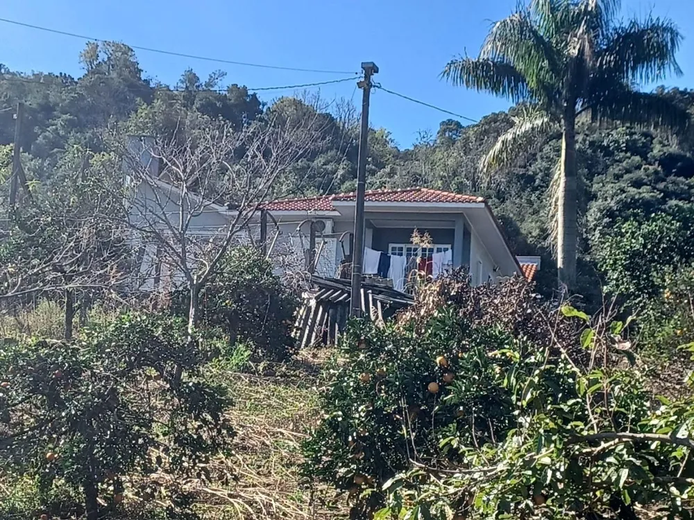 Chácara, 3 quartos, 6500 m² - Foto 11