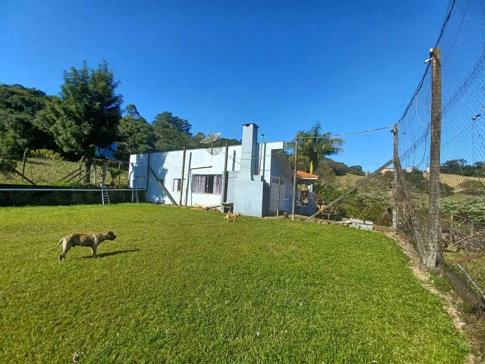 Chácara, 3 quartos, 6500 m² - Foto 8