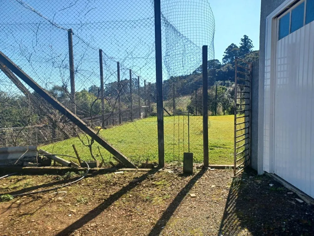 Chácara, 3 quartos, 6500 m² - Foto 6