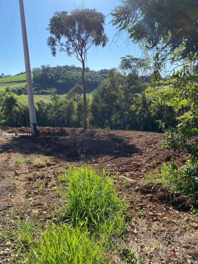 Terreno, 3716 m² - Foto 8