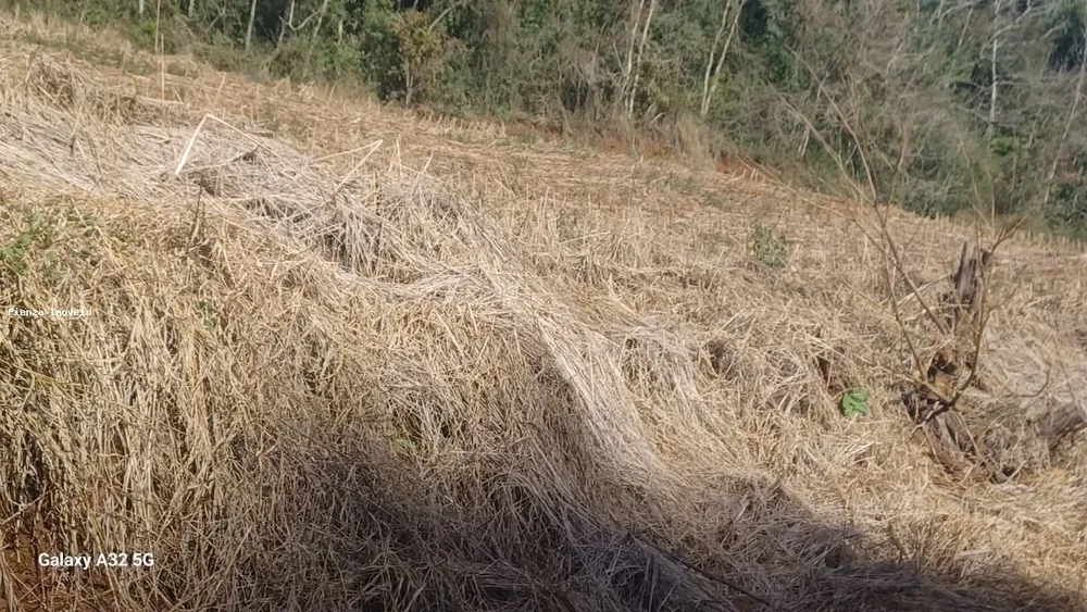 Loteamento e Condomínio, 5 hectares - Foto 4
