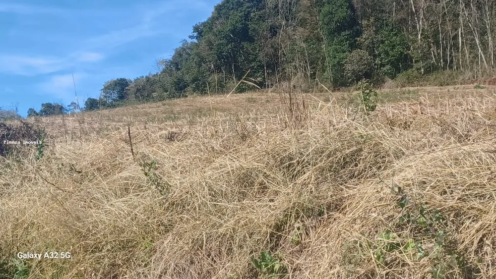 Loteamento e Condomínio, 5 hectares - Foto 3