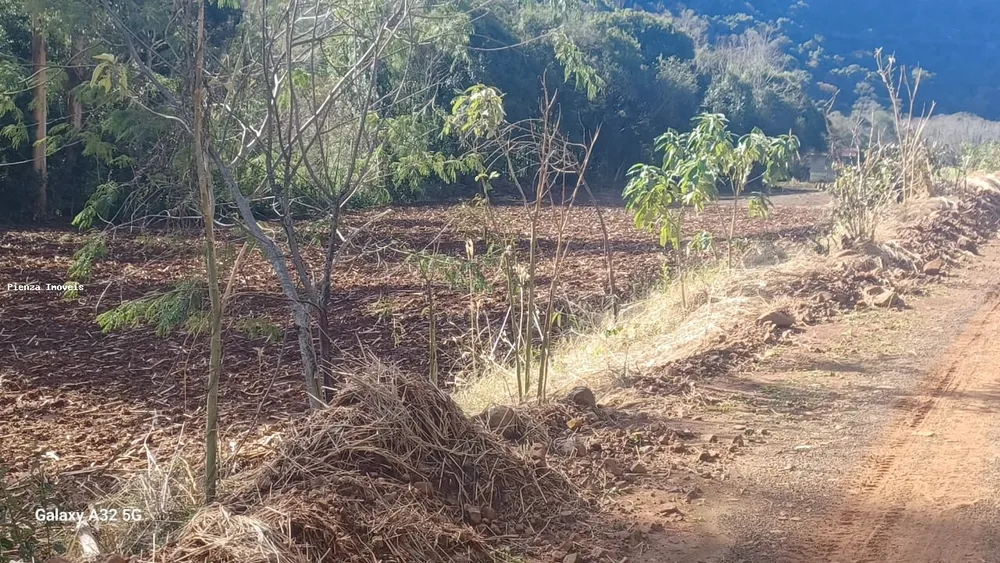 Loteamento e Condomínio, 5 hectares - Foto 2