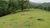 Loteamento e Condomínio, 17 hectares - Foto 7