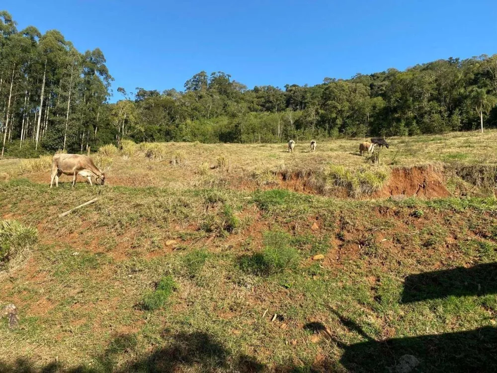 Loteamento e Condomínio, 11 hectares - Foto 30