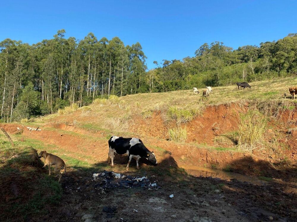 Loteamento e Condomínio, 11 hectares - Foto 35