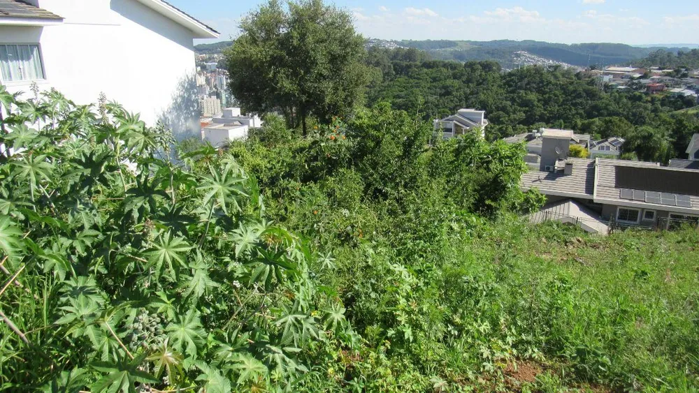 Terreno, 450 m² - Foto 7
