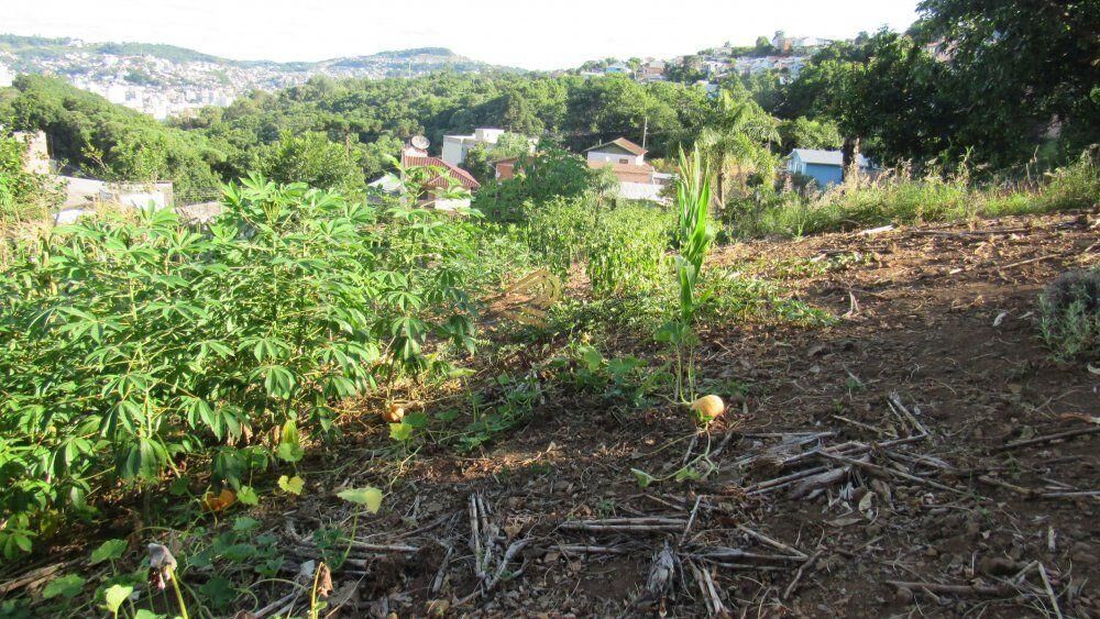 Terreno, 883 m² - Foto 15