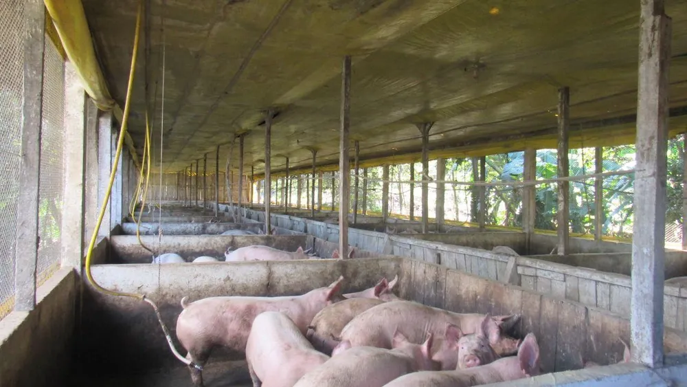 Loteamento e Condomínio, 17 hectares - Foto 10
