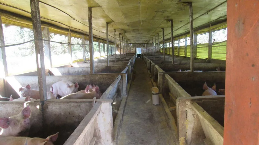 Loteamento e Condomínio, 17 hectares - Foto 9