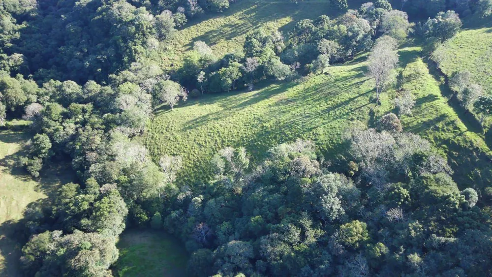 Loteamento e Condomínio, 17 hectares - Foto 1