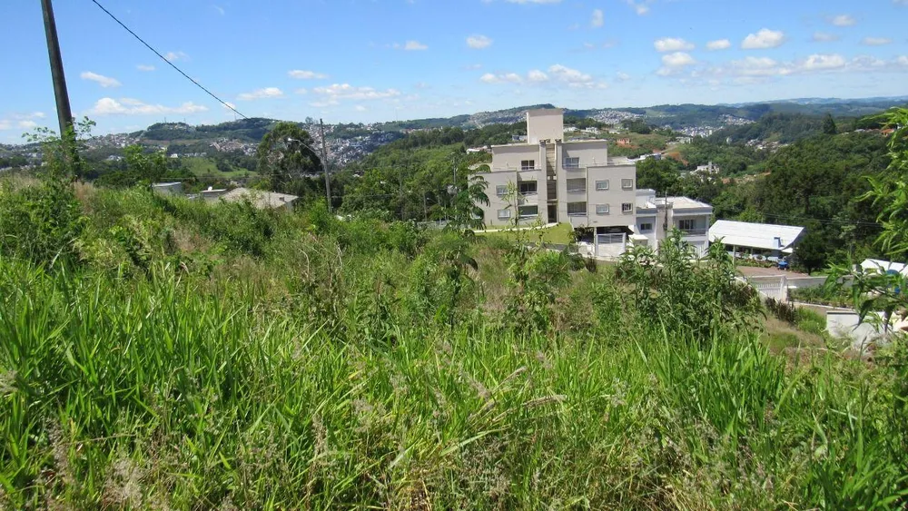 Terreno, 496 m² - Foto 3