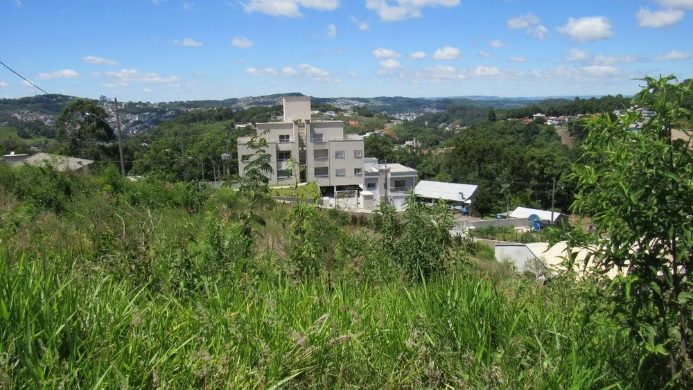 Terreno, 496 m² - Foto 3