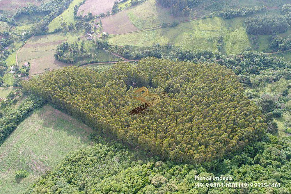 Terreno à venda, 57000M2 - Foto 4