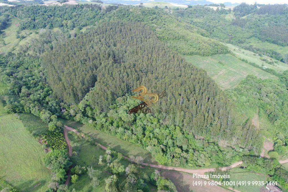 Terreno à venda, 57000M2 - Foto 2