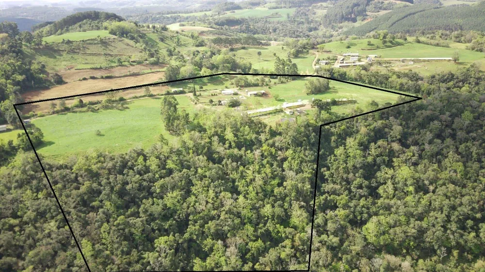 Fazenda, 13 hectares - Foto 3