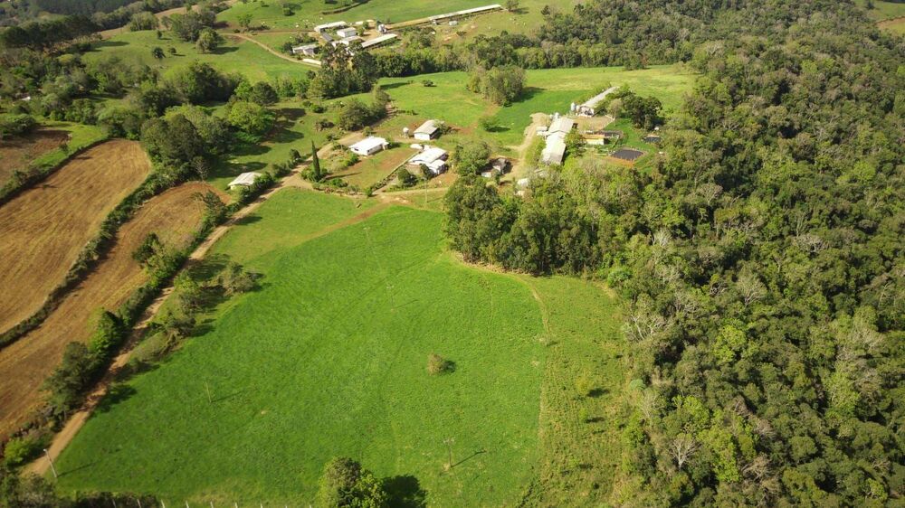 Fazenda, 13 hectares - Foto 3