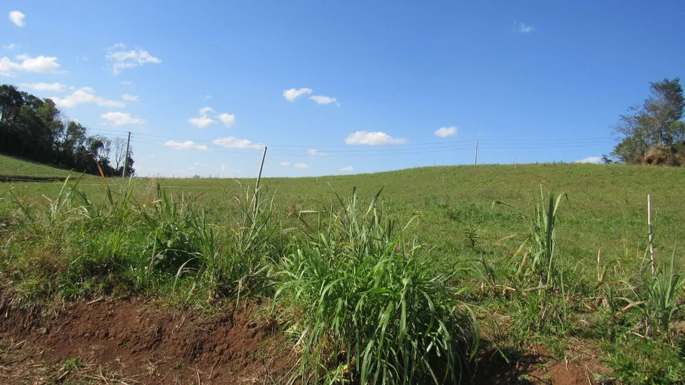 Fazenda, 13 hectares - Foto 8