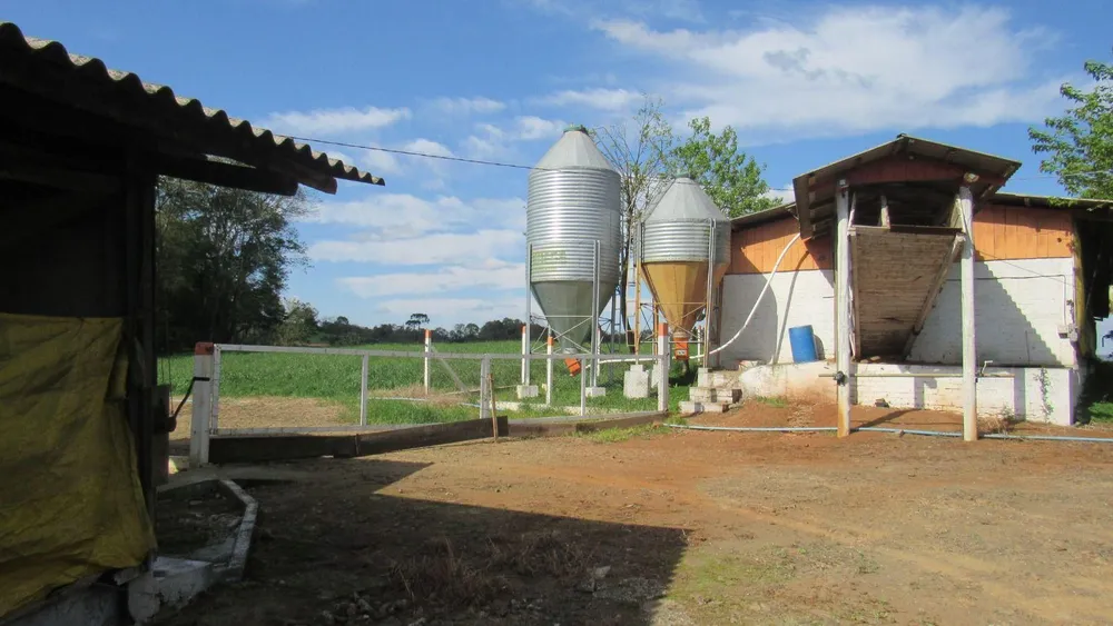 Fazenda, 13 hectares - Foto 9