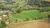 Fazenda, 13 hectares - Foto 2